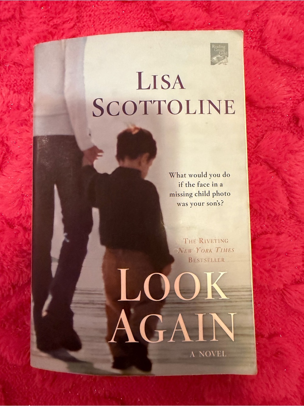 Look Again by Lisa Scottoline - Paperback Novel